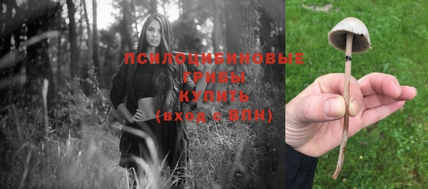 PSILOCYBIN Алексеевка